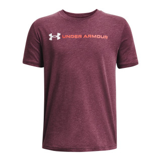 Boys' UA Logo Wordmark Short Sleeve 